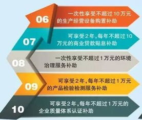 重慶力推“雙輪驅動”發展戰略 新增8項紙箱業微企扶持項目，加速軟件產業布局