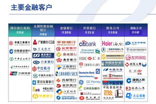 重慶軟件開發行業洞察 機遇、挑戰與發展趨勢