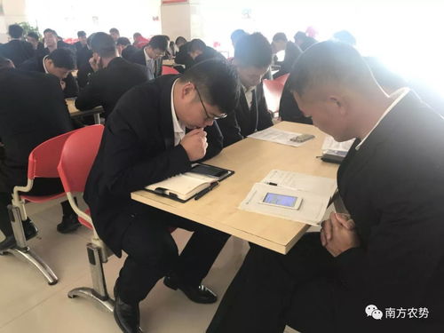 千錘百煉為今朝，淡定應考展風采——2018年華南營銷總部三力技術營銷農化服務力現場通關火熱進行