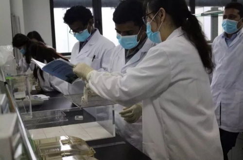 院系介紹2.0 風(fēng)采展示及微信公眾號 一