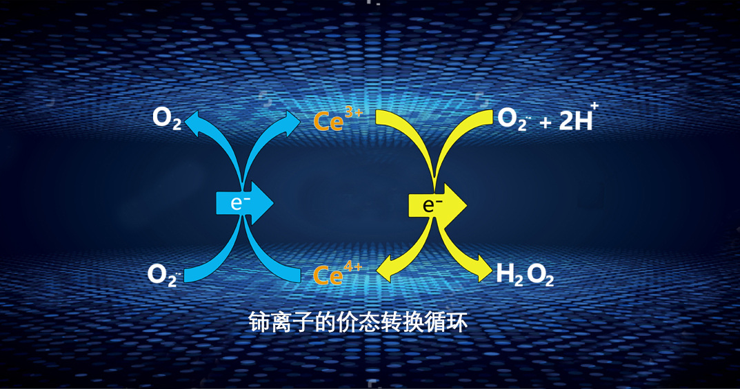 美妝行業(yè)迎來強監(jiān)管,金歲領(lǐng)跑稀土護(hù)膚科研新賽道-360化妝品網(wǎng)