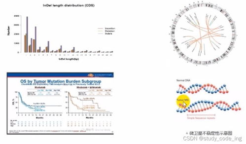 生物基礎(chǔ) 多組學聯(lián)合分析