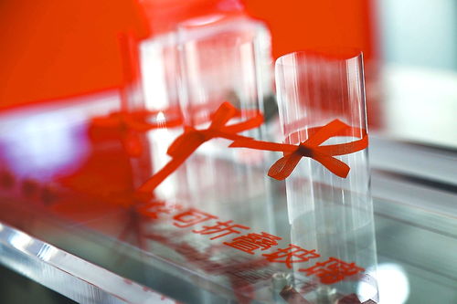 成就巡禮 蚌埠篇 創新引領 珠城轉型