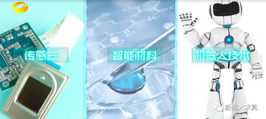 不久后 魷魚(yú)須 將替代塑料