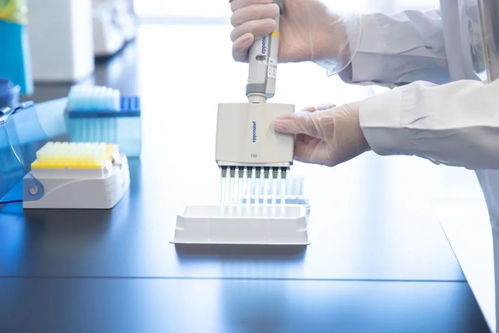 北京協和醫院傾力打造疑難罕見病基礎研究與前沿技術創新核心基地——生物基材料技術研發